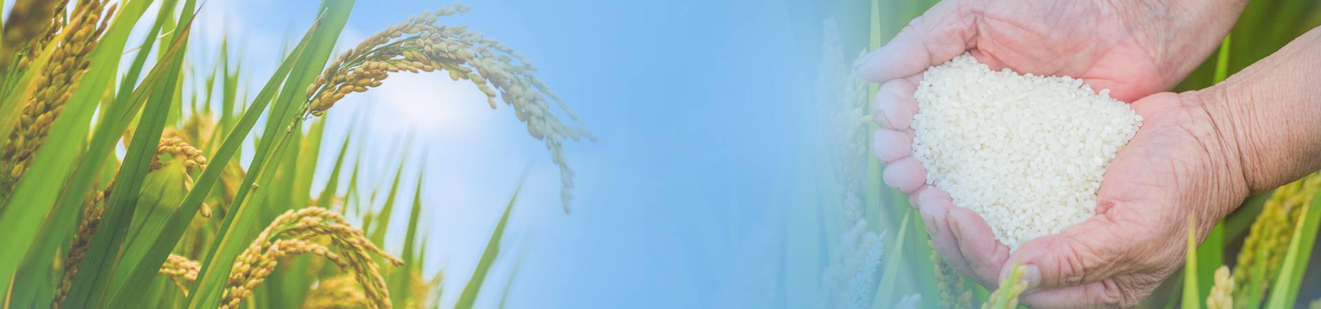 williamhill威廉希尔官网